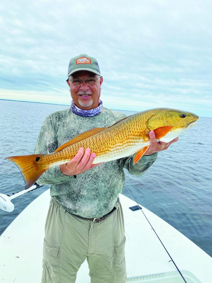 Redfish